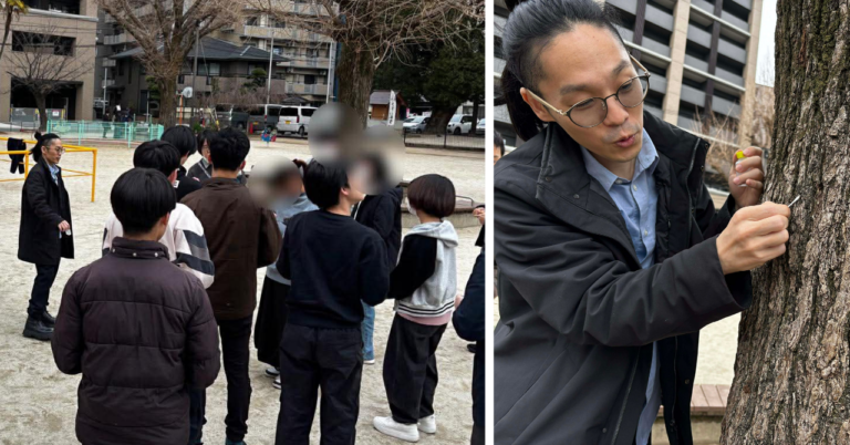 シアノバクテリアを探している