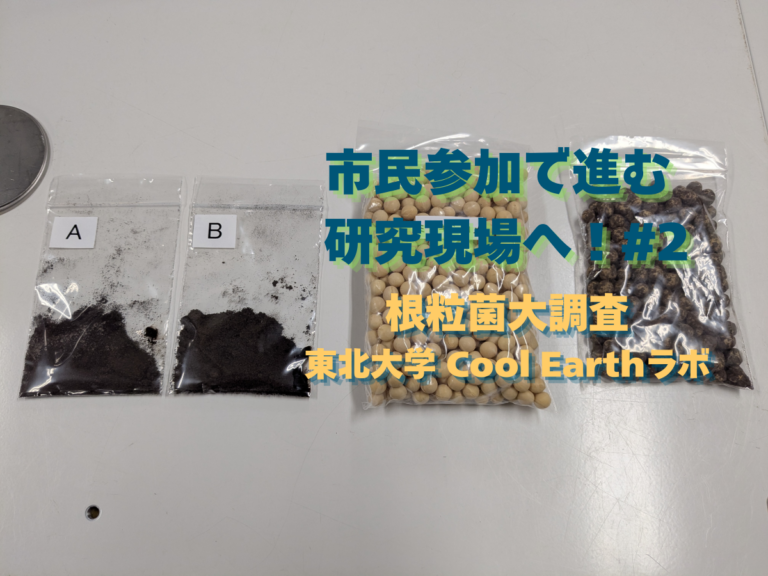 市民参加で進む研究の現場へ！#2｜根粒菌大調査（東北大学 Cool Earthラボ）