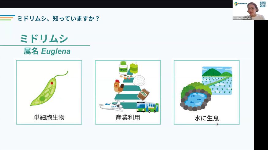 ミドリムシ（Euglena）の基礎紹介スライド