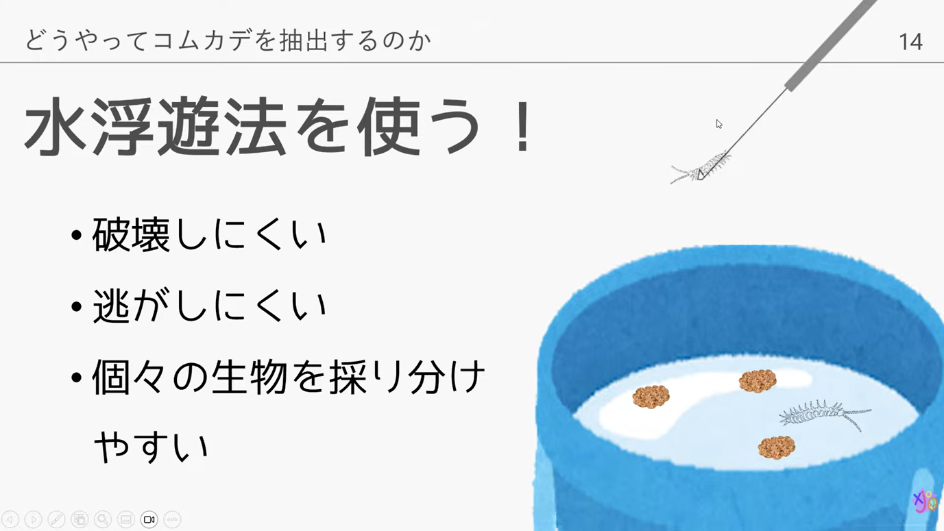 水浮遊法でコムカデを抽出する方法を説明するスライド