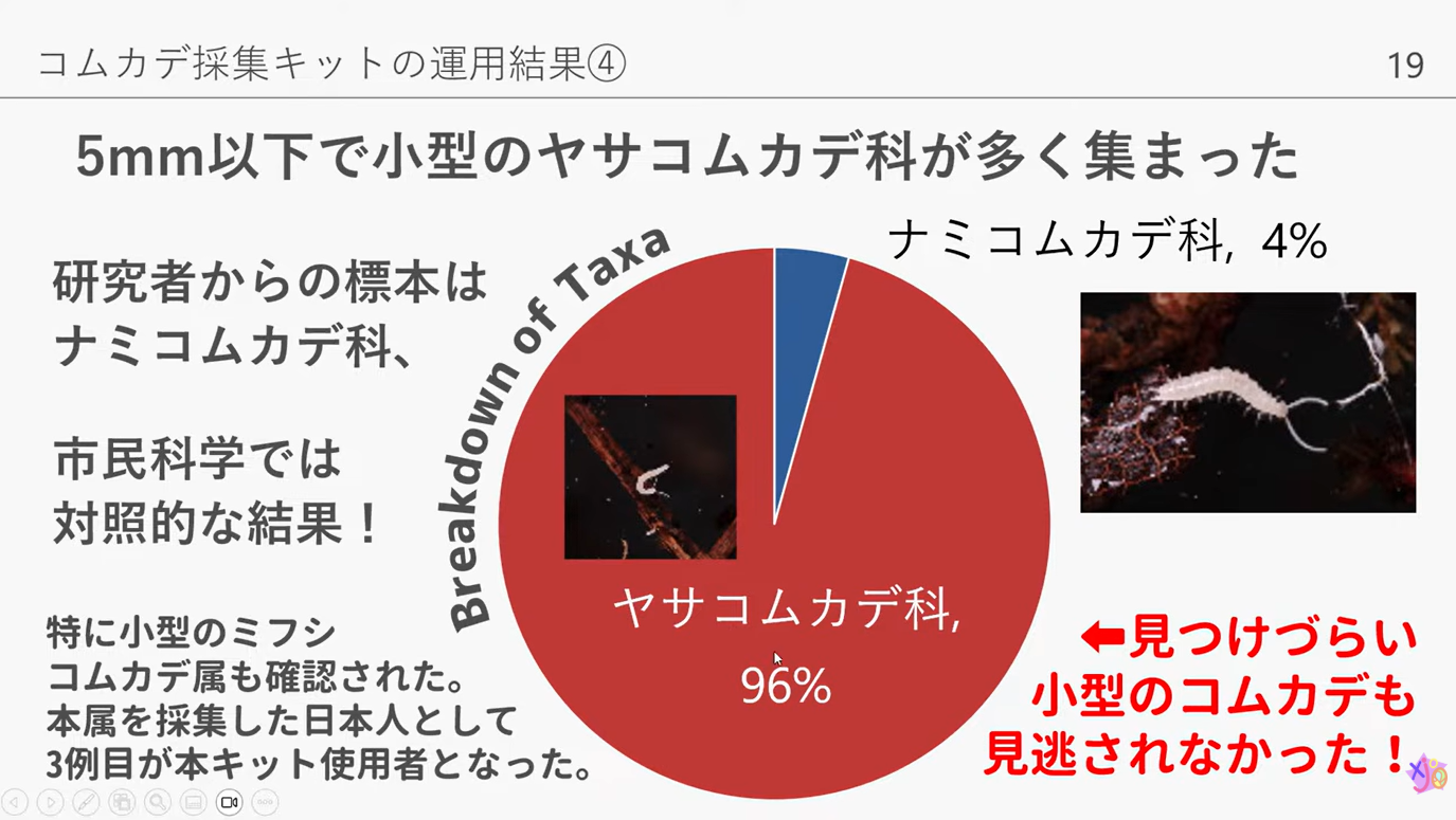 採集キットで得られたコムカデの内訳を示す円グラフ
