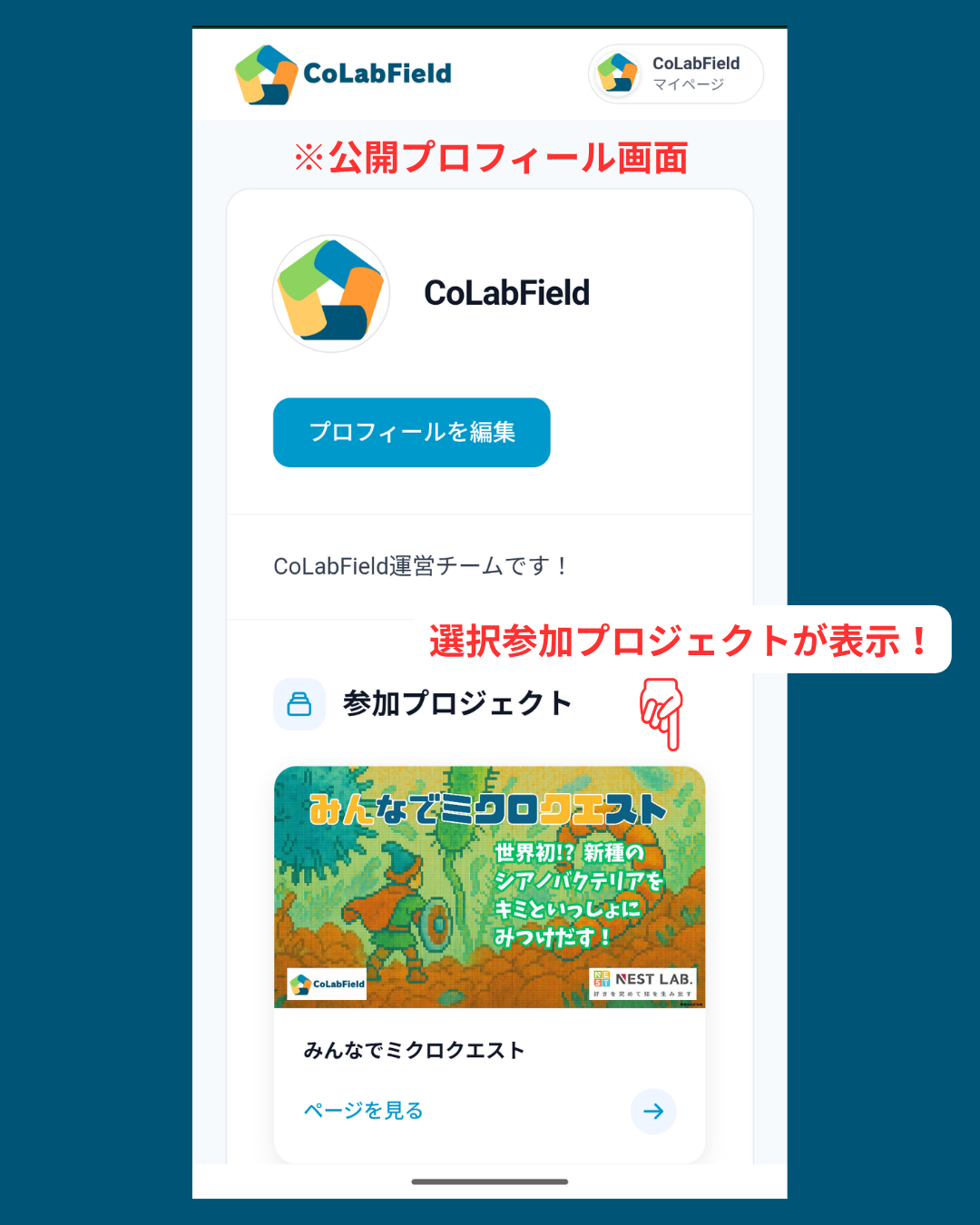 公開プロフィール画面にも参加プロジェクトのカードが反映される