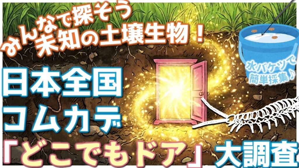 日本全国コムカデ『どこでもドア』大調査
