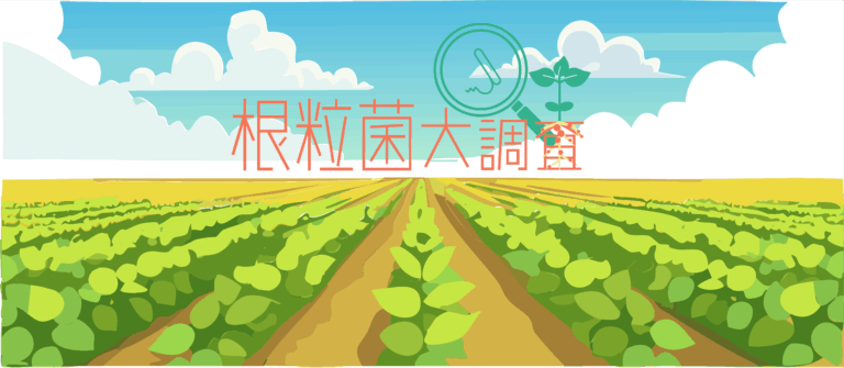 根粒菌大調査